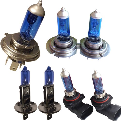 Halogen lampen xenon - halogen,